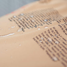 画像をギャラリービューアに読み込む, XNT-AP (ナノ撥水 ビッグシルエットTEE ) WHITE - FLASH PACKER